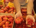/album/galeria-de-fotos/mercatale5-jpg/